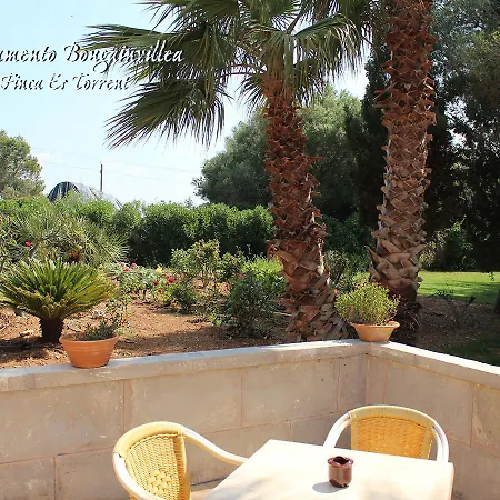 Bougaivillea By Es Torrent Appartement *