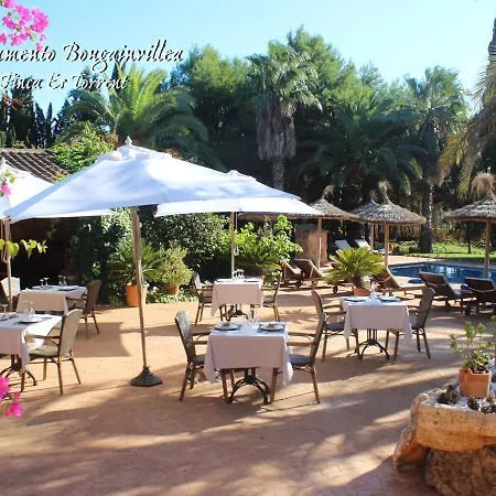 Bougaivillea By Es Torrent Apartment *