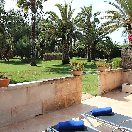 Bougaivillea By Es Torrent Apartment Sa Rapita